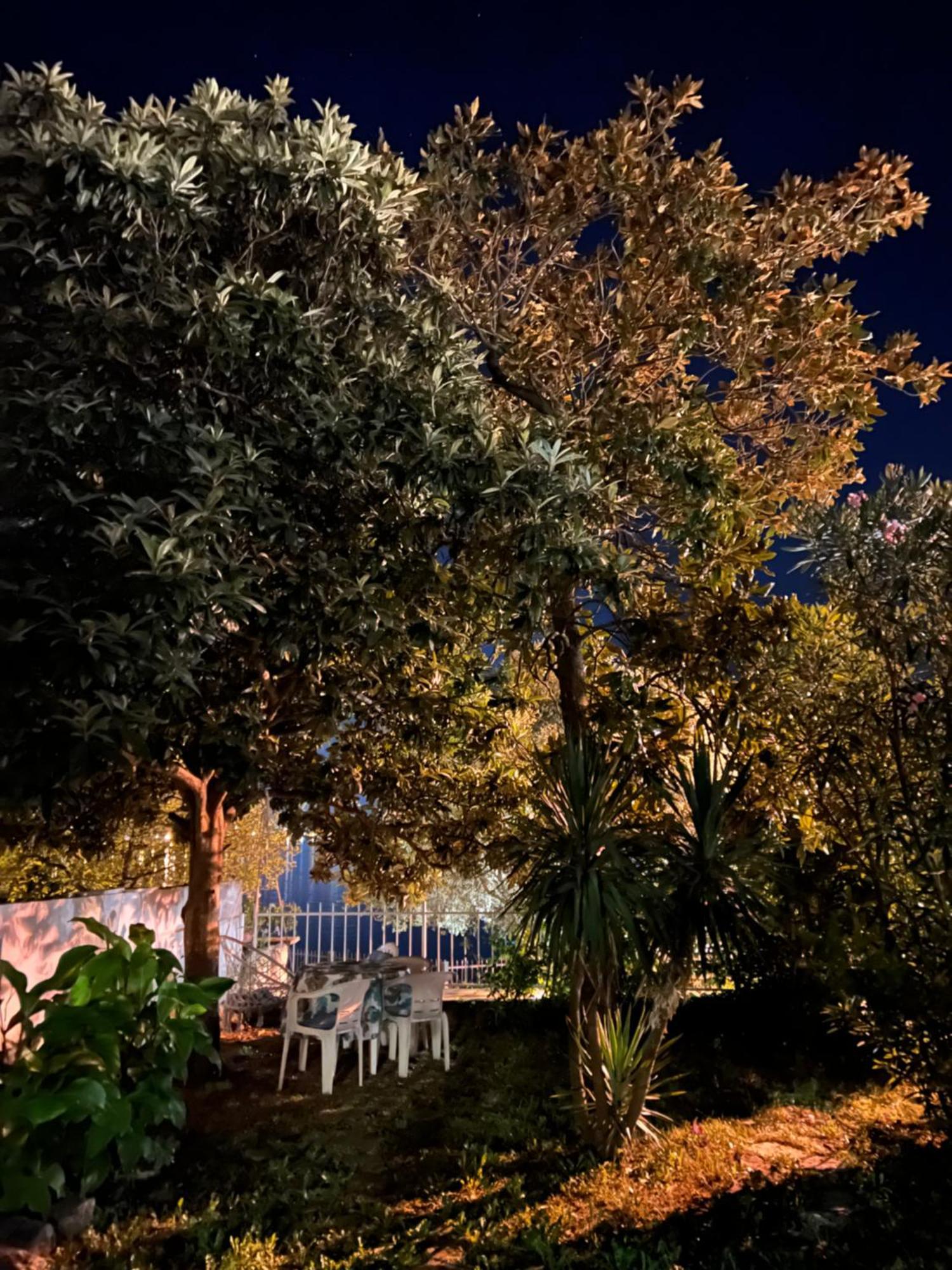 Lemon Tree Villa コトル エクステリア 写真